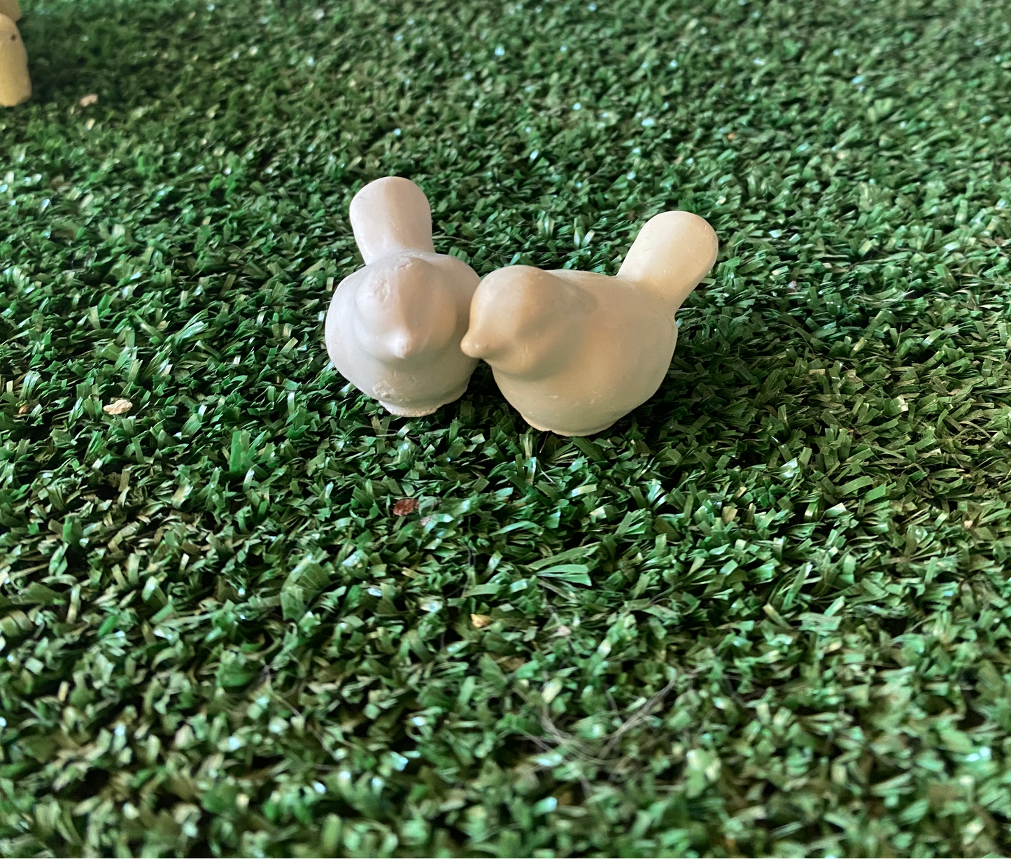 Mini pajaritos (715)
