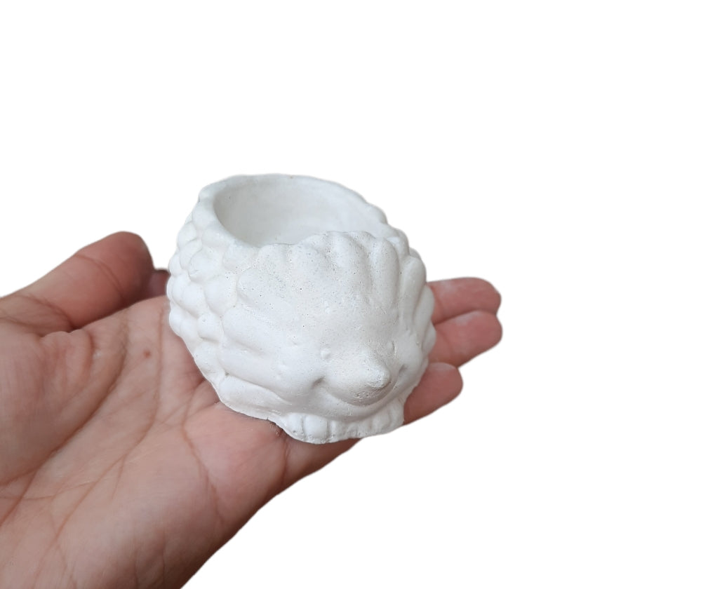 Maceta Erizo de tierra (148)