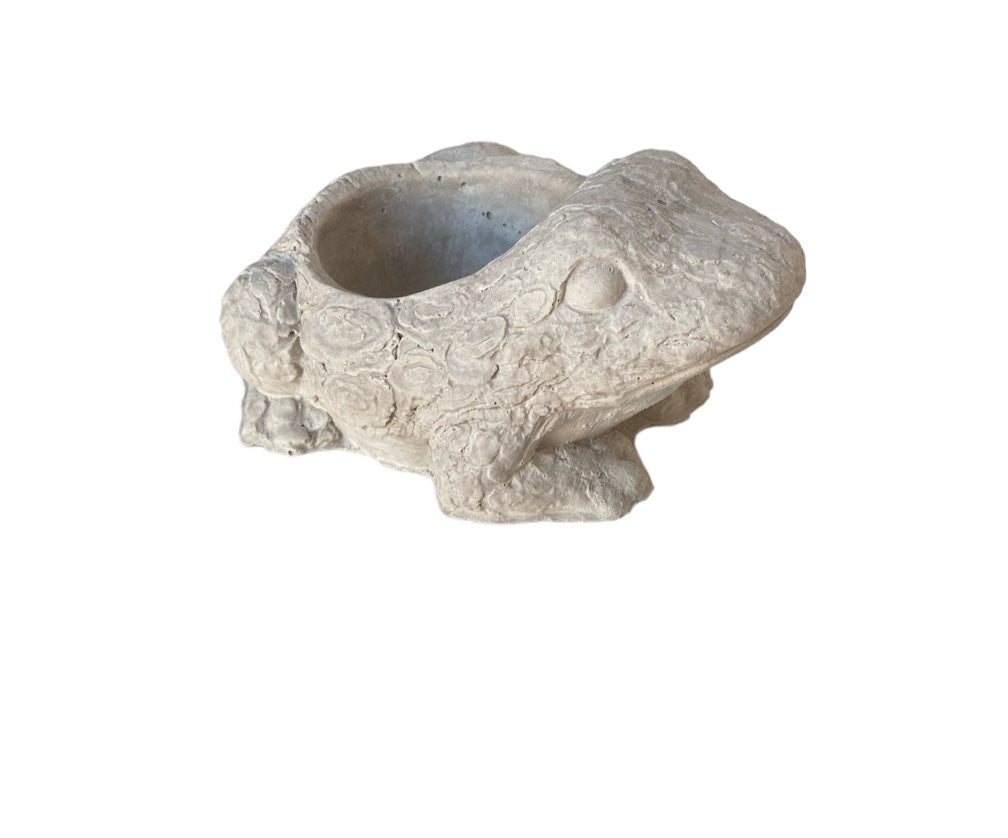 Maceta rana maceta (404)