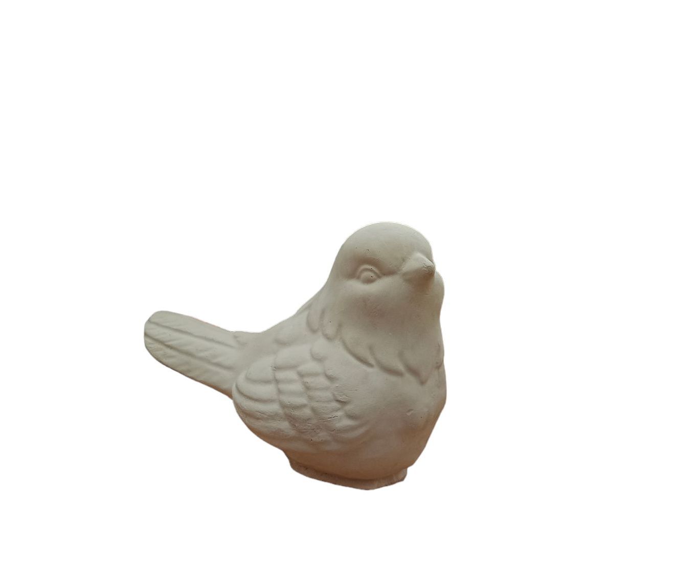 Pajarito (434)