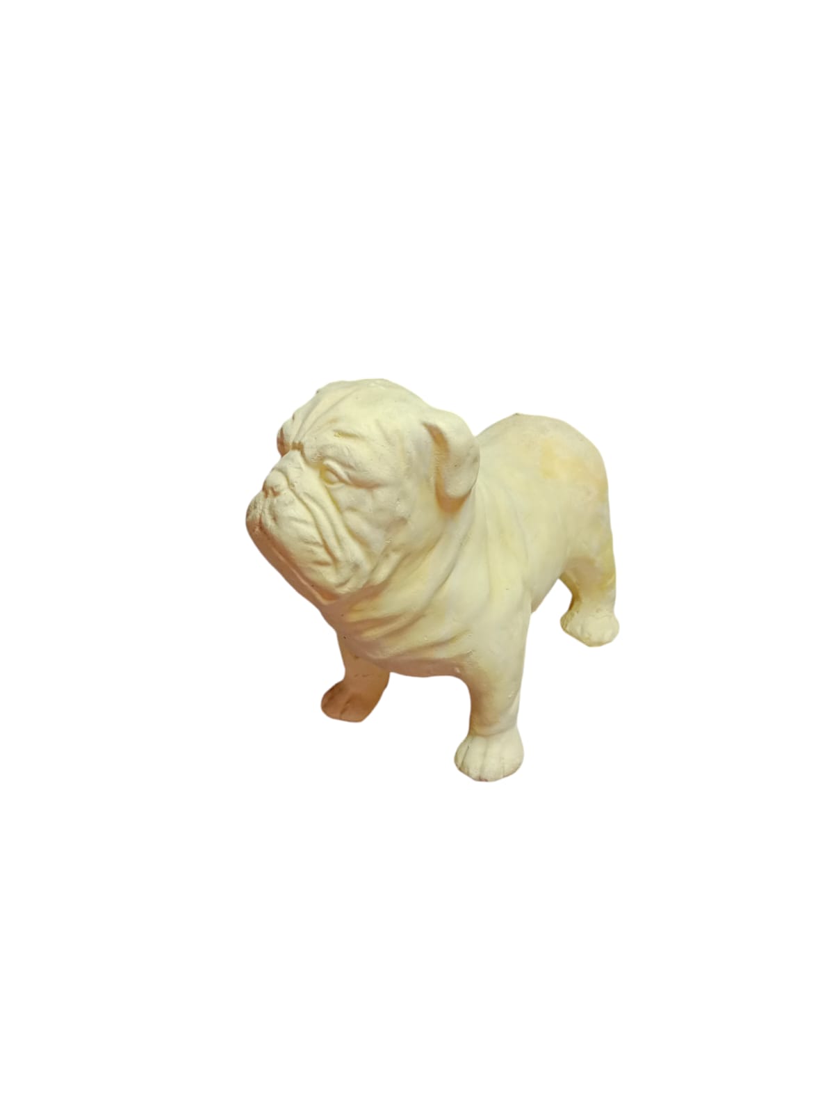 Perro bulldog (ziña)