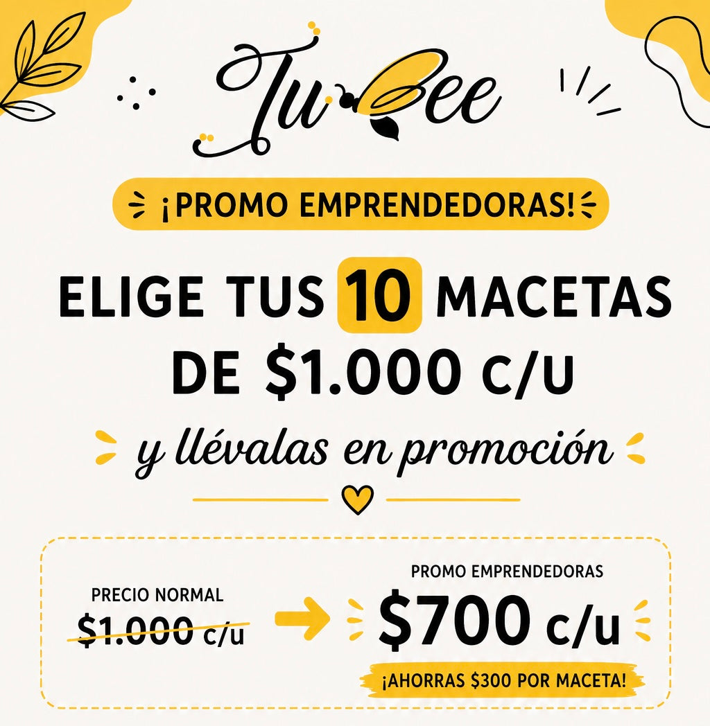 Promo 10 macetas por $7000