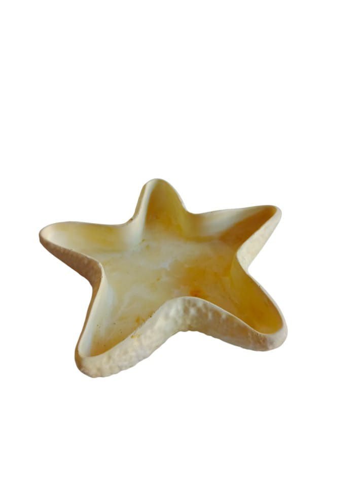 Estrella de mar