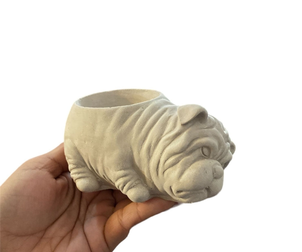 Perro arrugado (314)