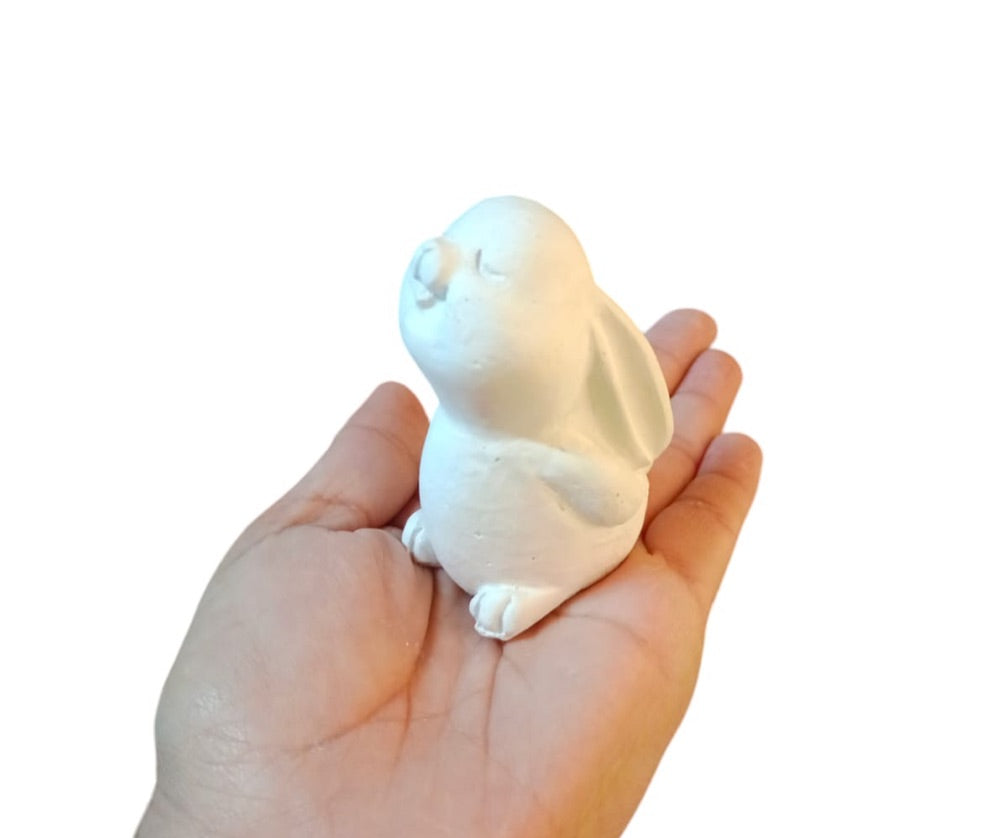 Conejo orejas largas (583)