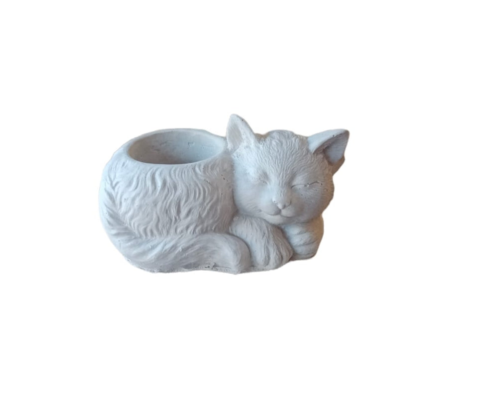 Maceta gata con cinta en el cuello (149)