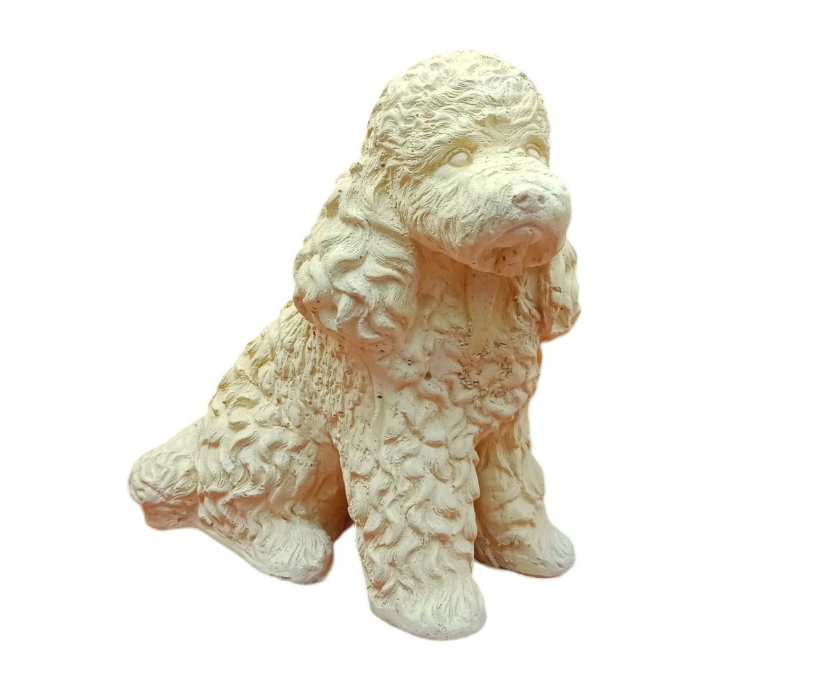 Perrito poodle (ziña)