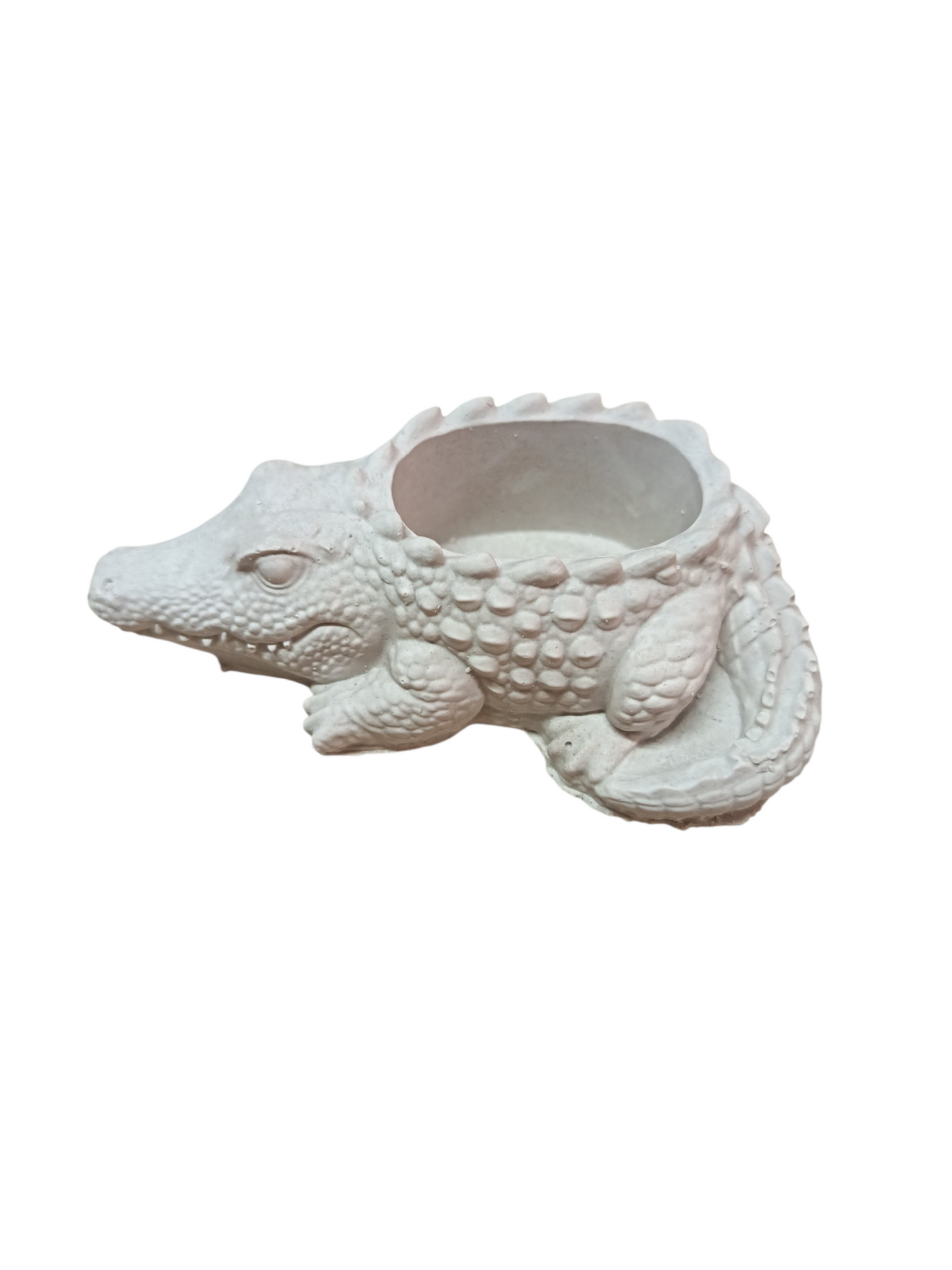 Cocodrilo 10x10 cm