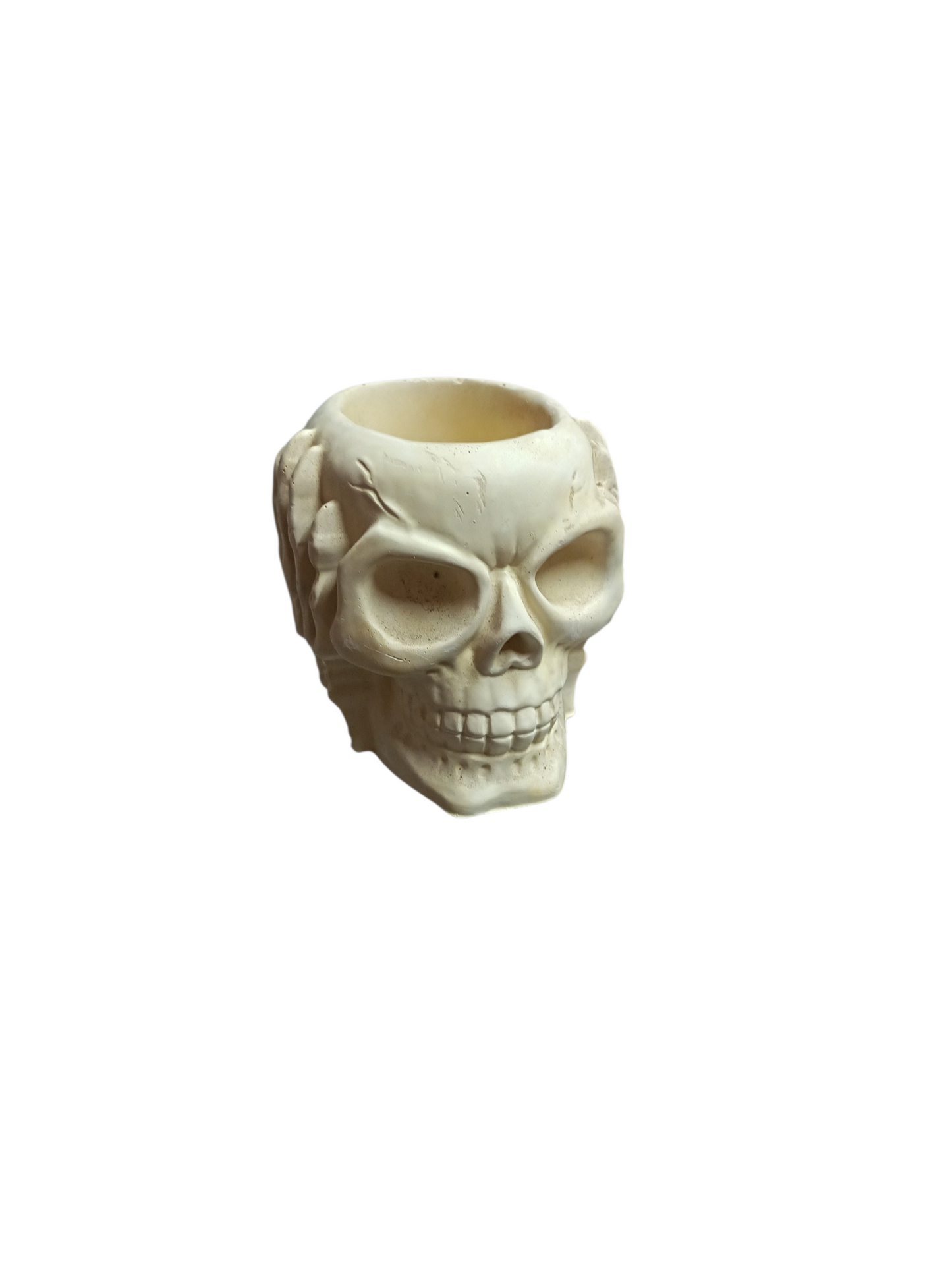 Calavera sorda maceta 8x8