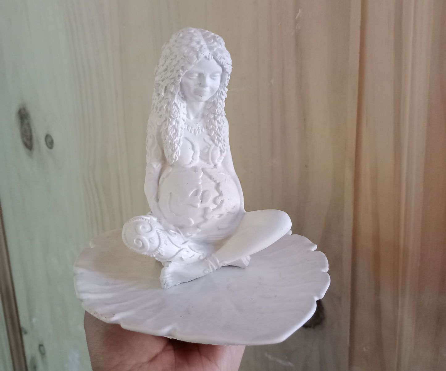 Set madre tierra (489)