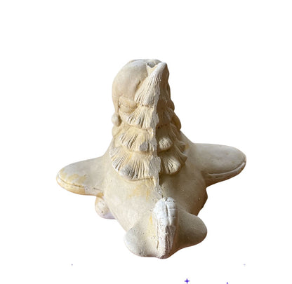 Pascuero en avión