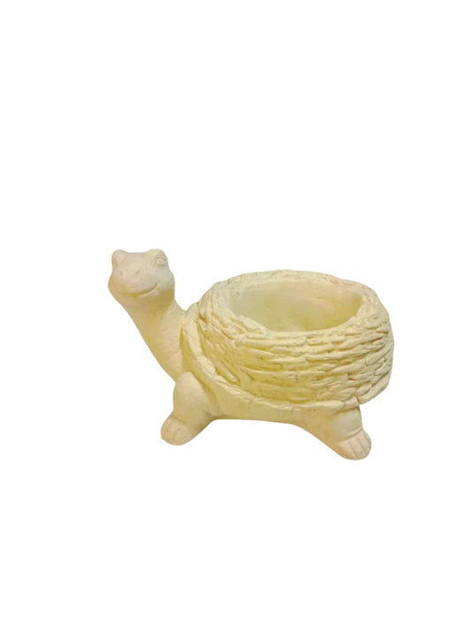 Maceta tortuga