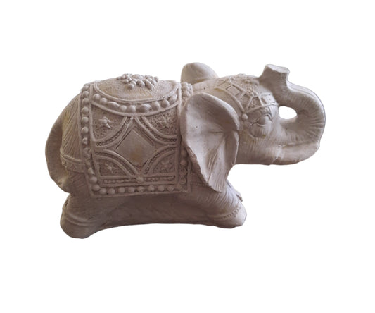 Elefante indú (108)