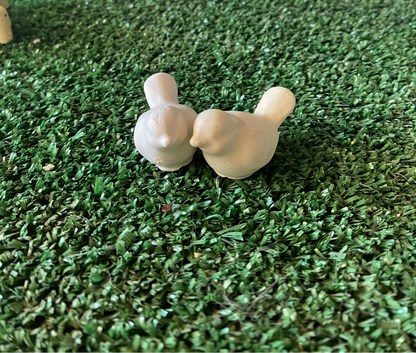Mini pajaritos (715)