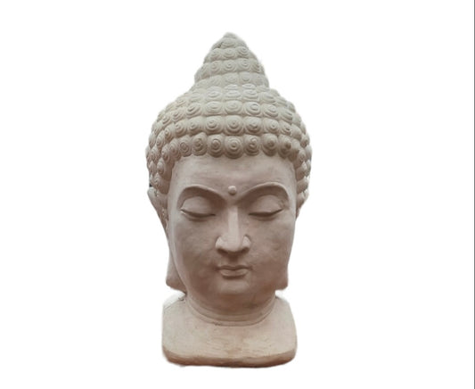 Cabeza buda (66)