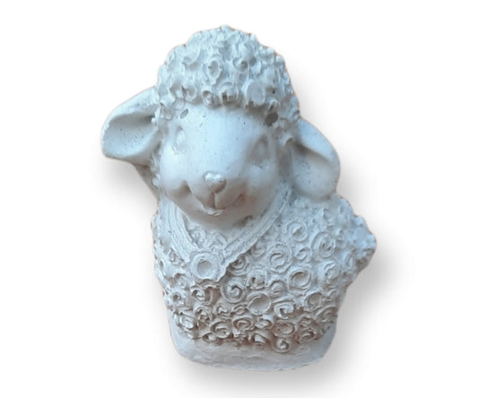 Mini oveja (219)