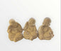 Monjes sabios (236)