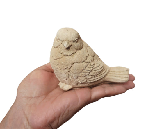 Pajarito (255)