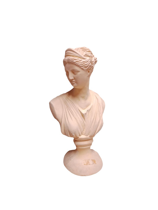 Venus (ziña)