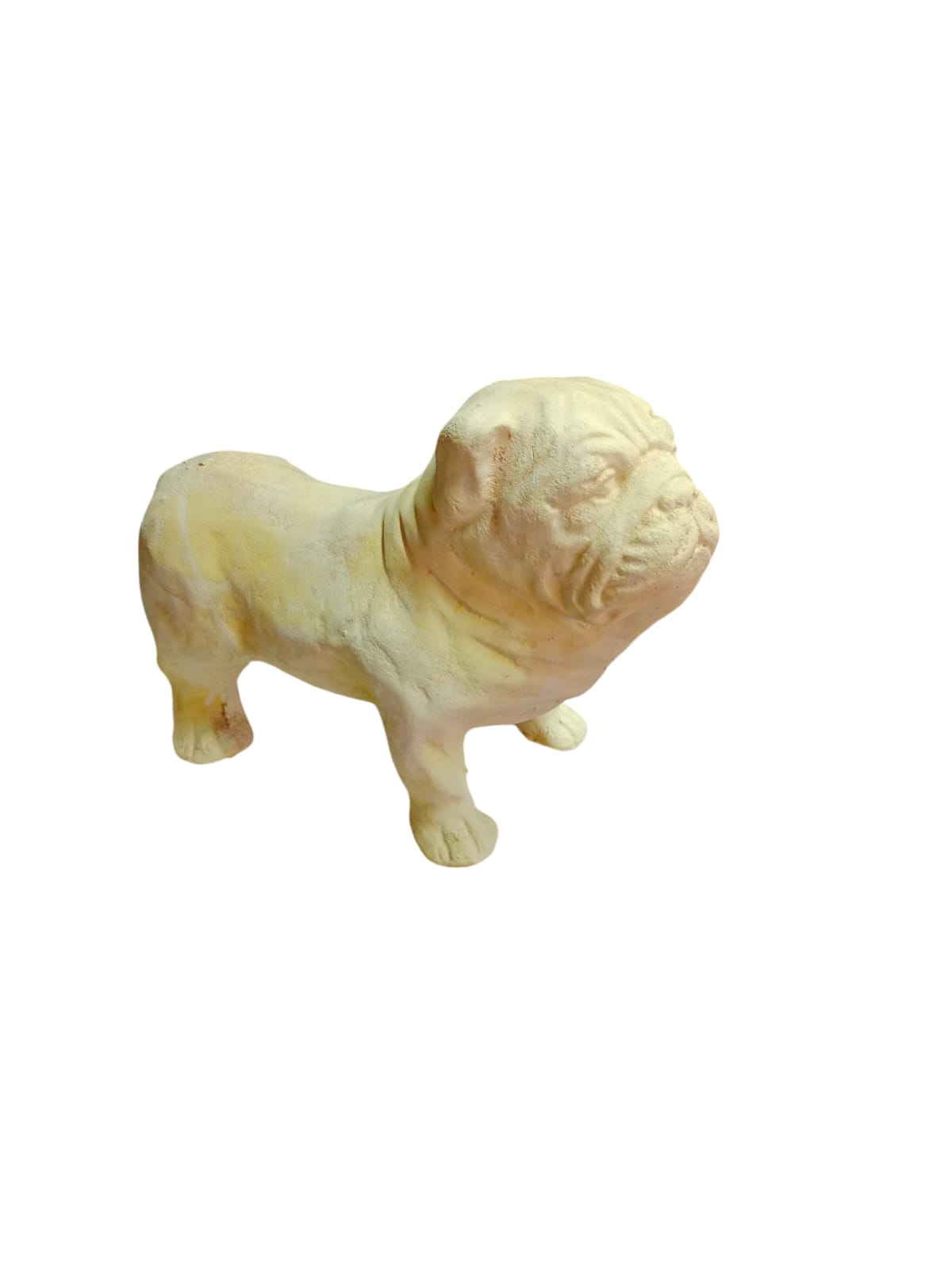 Perro  bulldog (ziña)