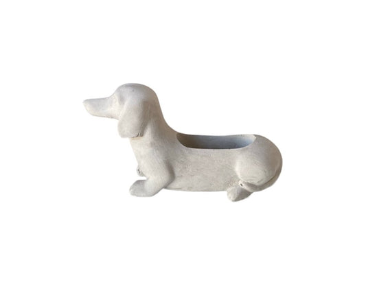 Perro salchicha (291)