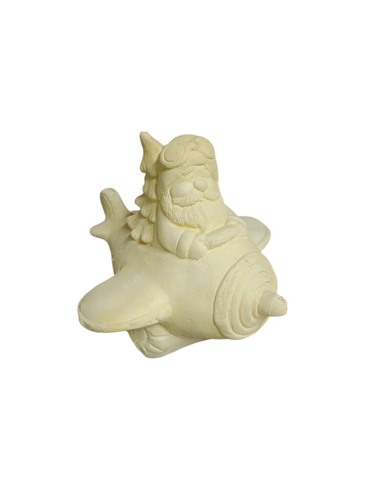 Pascuero en avión
