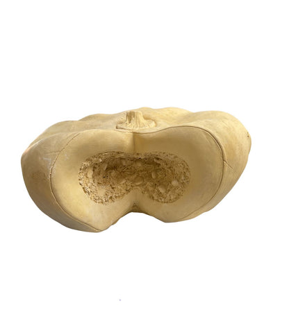 Zapallo decorativo 33 cm ancho x 16 cm alto