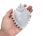 Corazón (380)