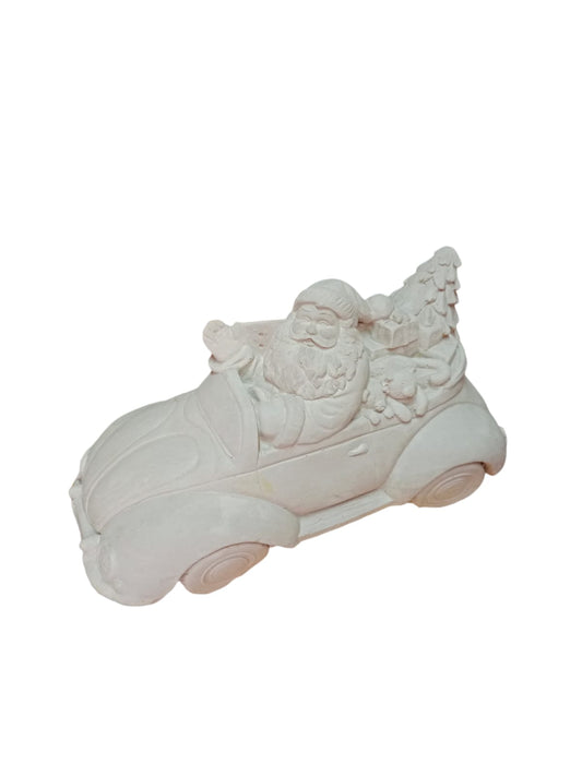 Pascuero en auto (694)