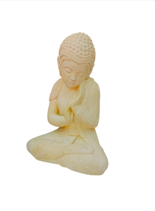 Buda mano en la cara