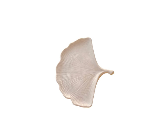 Hoja ginkgo biloba (426)