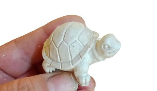 Tortuga (428)
