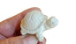 Tortuga (428)