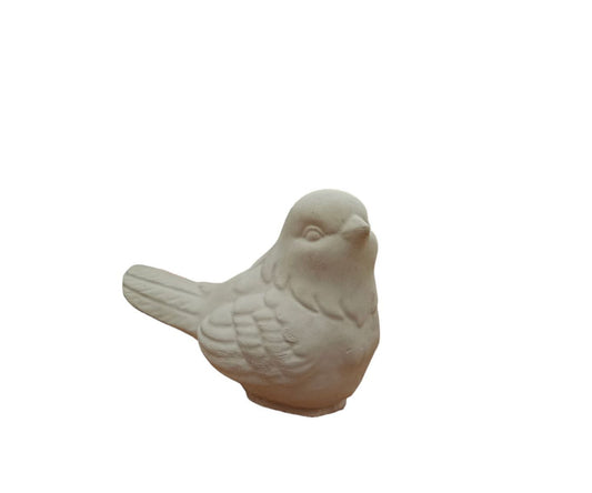 Pajarito (434)