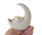 Luna porta vela (443)