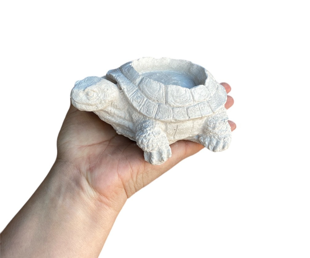 Tortuga porta velas (481)