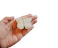 Mariposa (587)