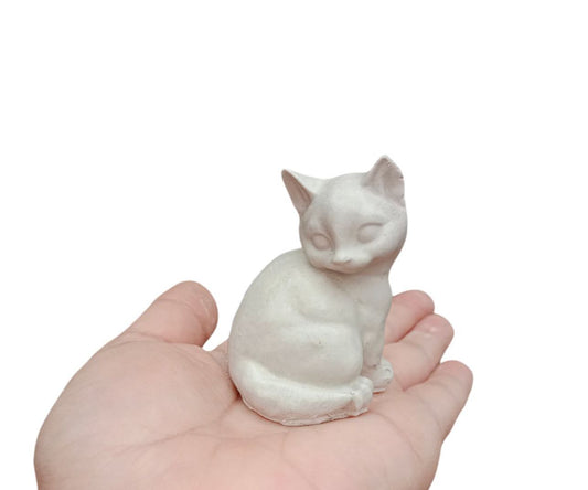 Gato modelo 6 ( 613)