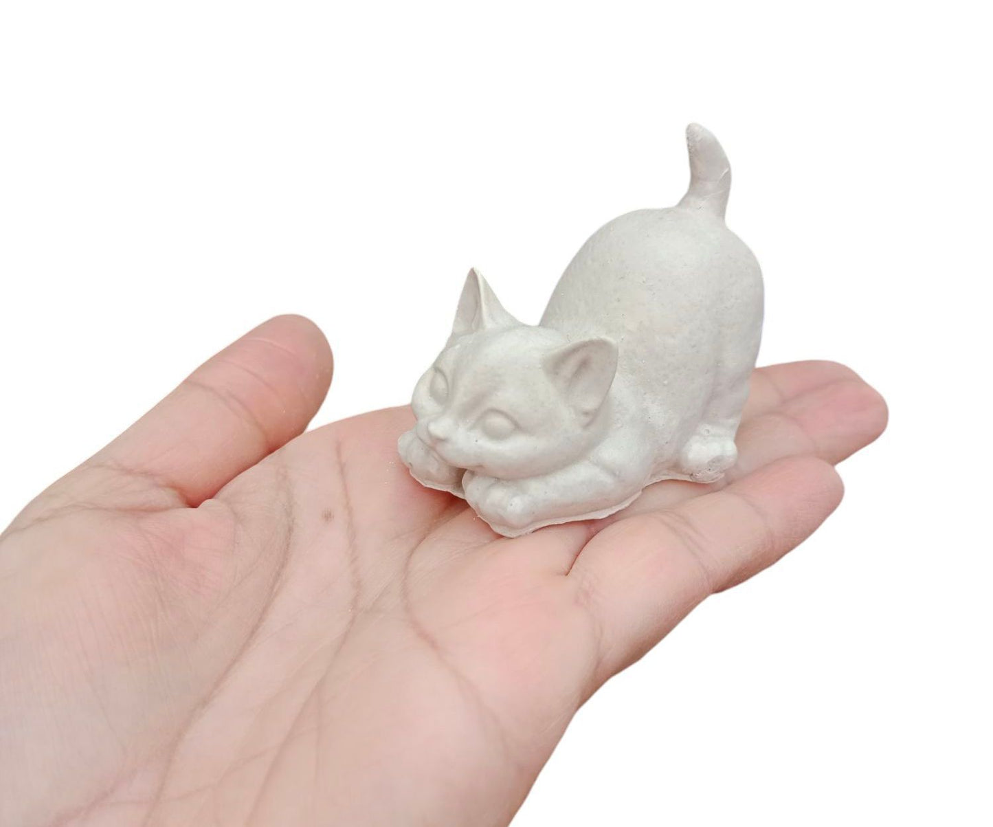 Gato colita levantada (614)