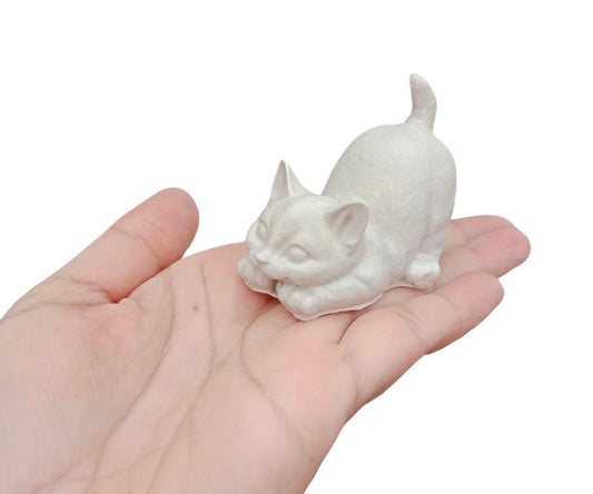 Gato colita levantada (614)