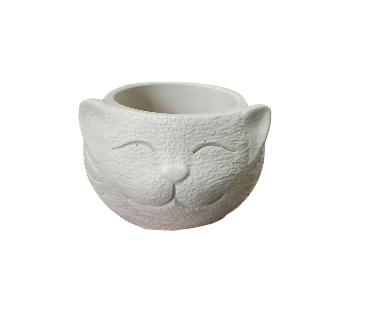Maceta gato (627)