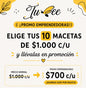 Promo 10 macetas por $7000