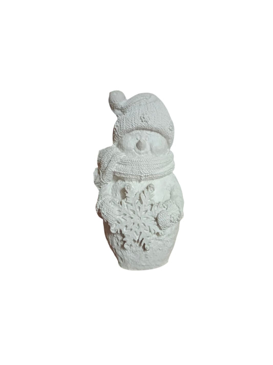 Monito nieve (696)