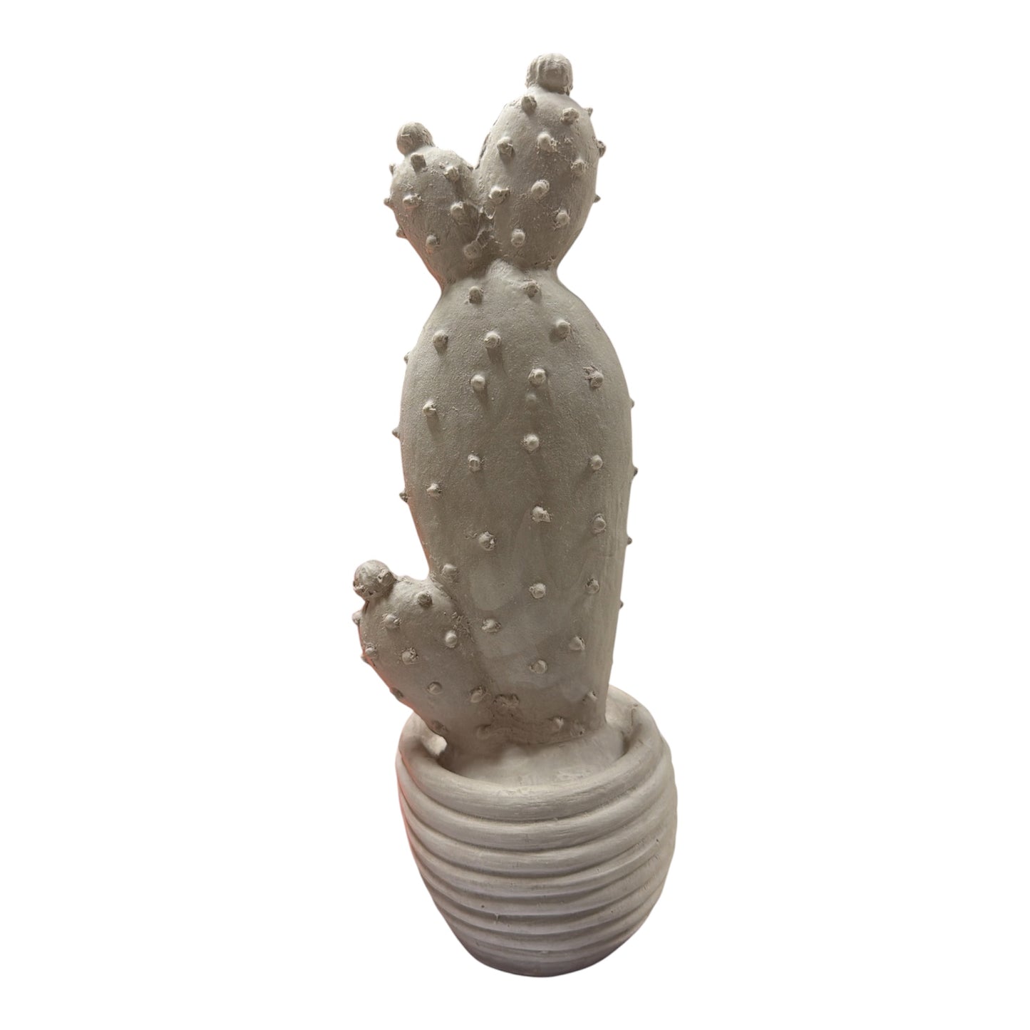 Cactus en maceta 29 cm alto