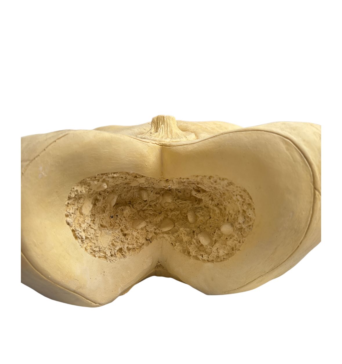 Zapallo decorativo 33 cm ancho x 16 cm alto