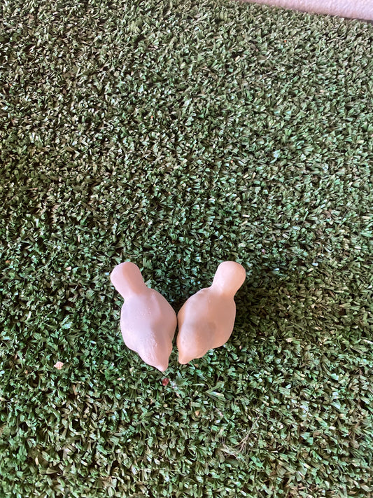 Mini pajaritos (715)