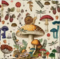 Servilleta hongos 🍄