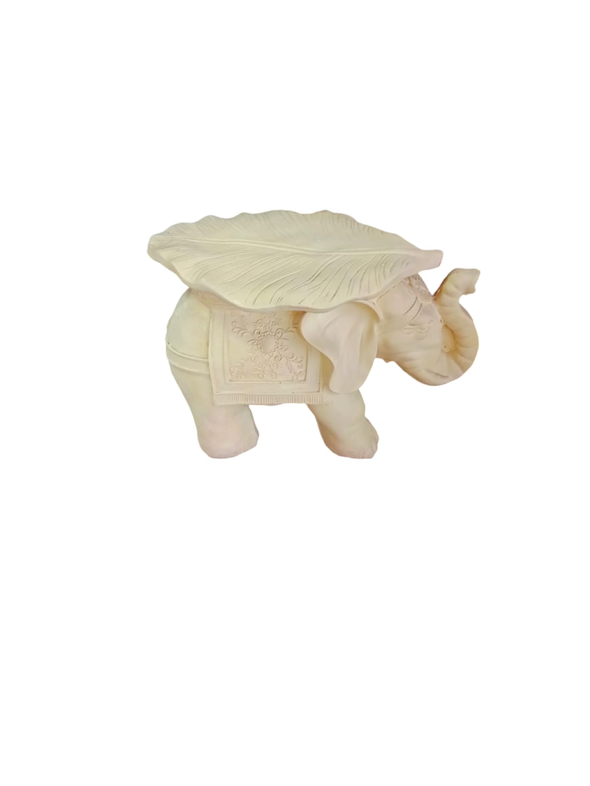 Elefante con hoja grande (ziña)