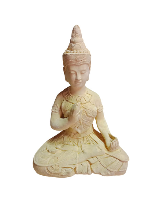 Buda protección hoja (ziña)