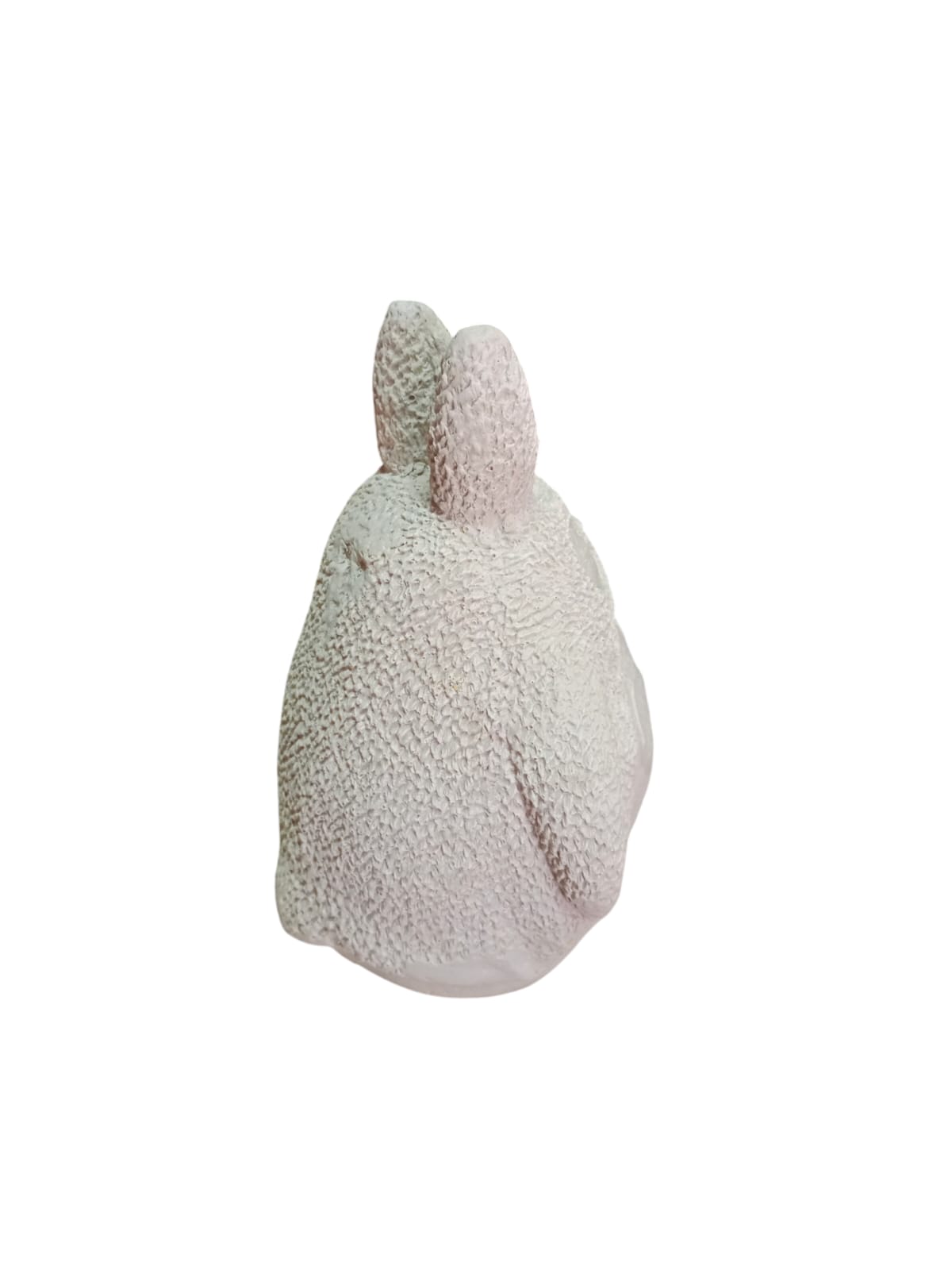 Totoro (790)